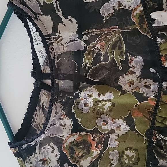 Zara long sleeve sheer blouse - Picture 2 of 4